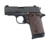 SIG SAUER P238 SELECT .380 PISTOL